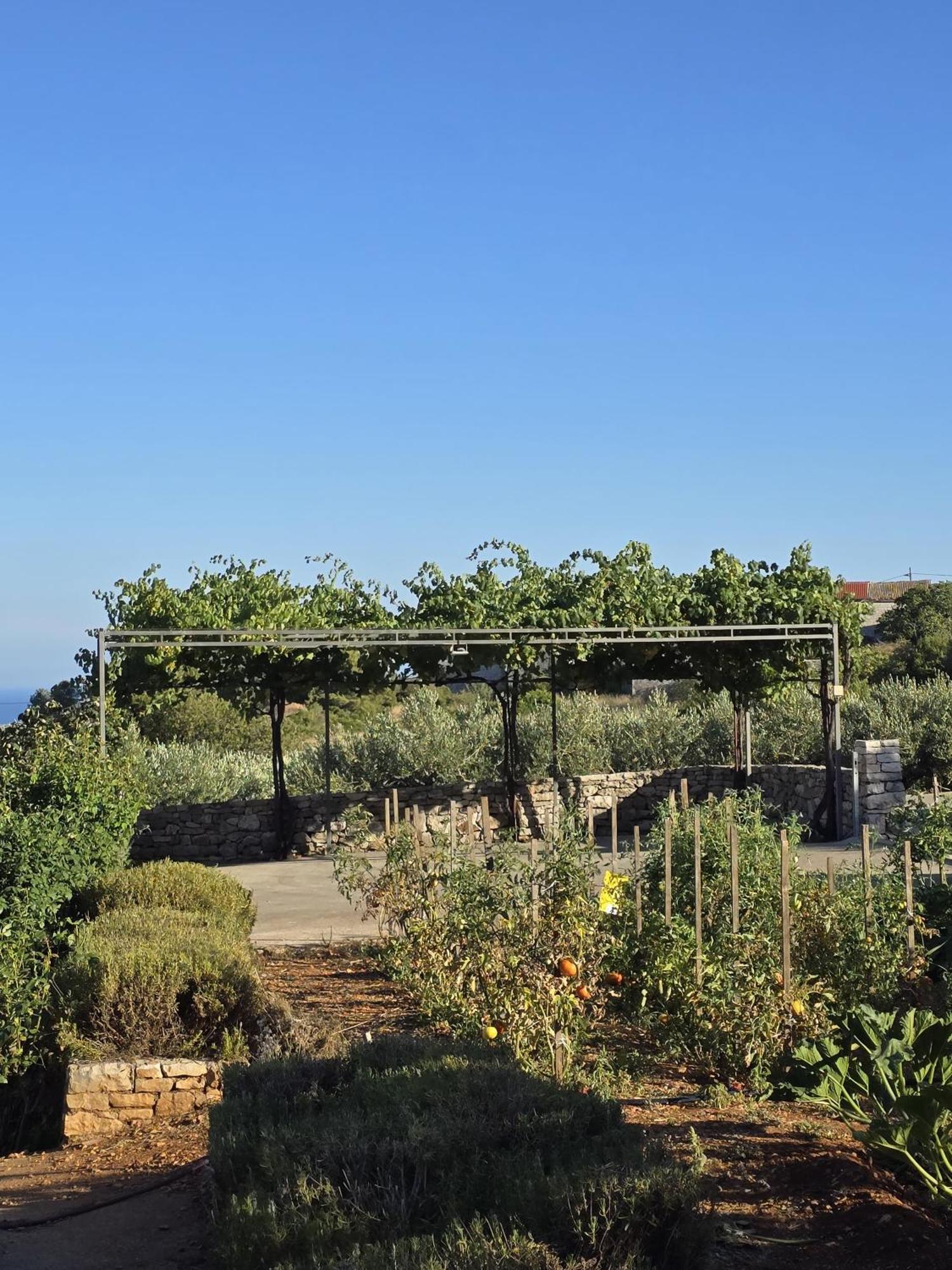 Betini Apartments - Authentic Island Escape Komiža Kültér fotó